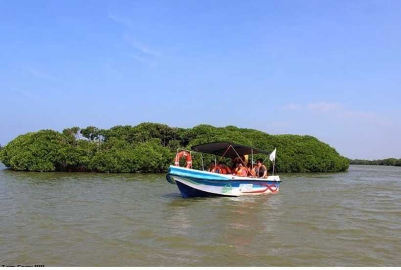 Colombo/Negombo: Muthurajawela & Dutch Canal Boat Adventure - Who this tour is perfect for, and who should think twice