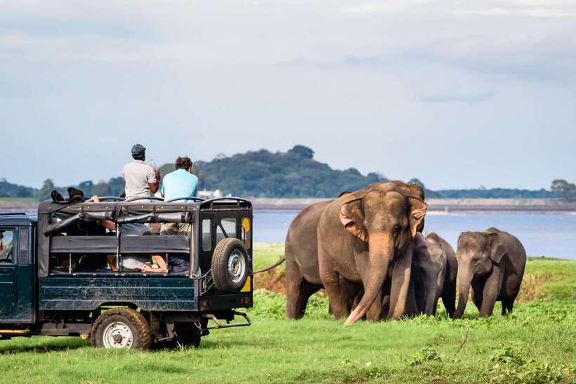Colombo/Negombo: Sigiriya, Dambulla, and Minneriya Safari - Lunch and local food: plan for your own meal and cash