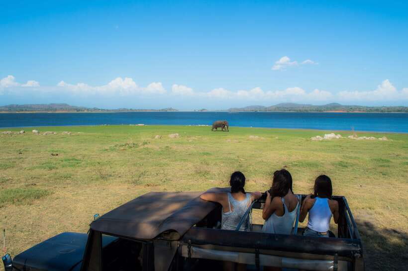 Colombo/Negombo: Sigiriya, Dambulla, and Minneriya Safari - Price and logistics: what $70 covers, and where the real costs show up