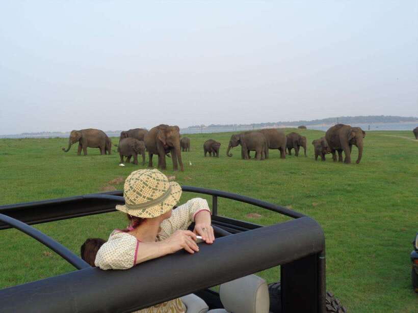 Colombo-Negombo : Sigiriya & Dambulla Cave Full-Day Tour - The 14-hour reality: how to survive the day without hating it