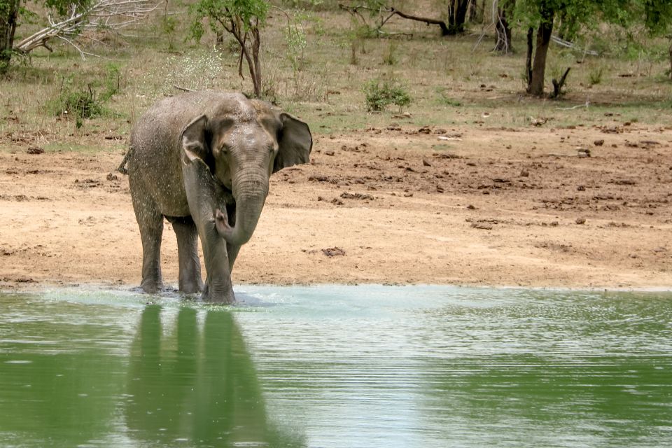 Colombo/Negombo: Sigiriya, Kandy, Ella 3-Day Trip with Train - Hotels and pace: where comfort shows up (and where it doesn’t)