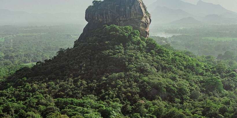 Colombo/Negombo to Sigiriya, Dambulla & Jeep Safari Day Tour - Herbal & Spice Garden: cinnamon, pepper, cardamom, and real-life uses