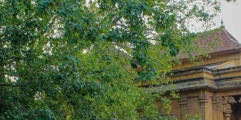 Colombo Port Shore Excursions Colombo City & Kalaniya Temple - How the private-car format works in Colombo (and why it’s smart)