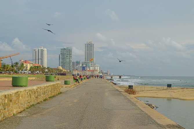 Colombo Shore Excursion from Cruise Port – Private Small Group - Picking up at the Sri Lanka Ports Authority area (and why meeting points matter)