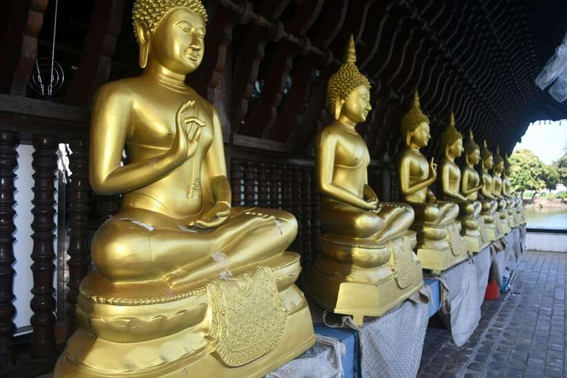 Colombo Shore Excursion, History Legacy and hidden gems - Galle Face Green: the best reset after temples and squares