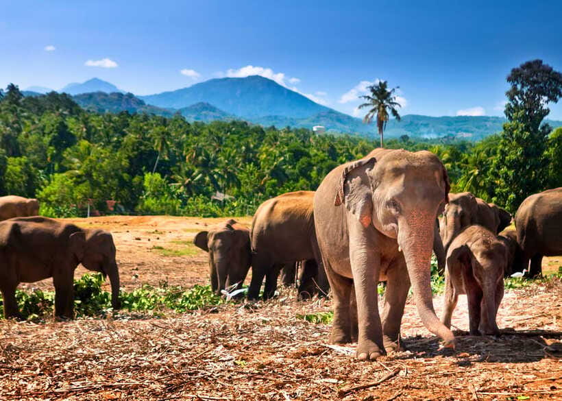 Colombo: Sri Lanka Cultural Triangle Hotspots 2-Day Tour - Price and Value: What You’re Paying For (and Why Tickets Matter)