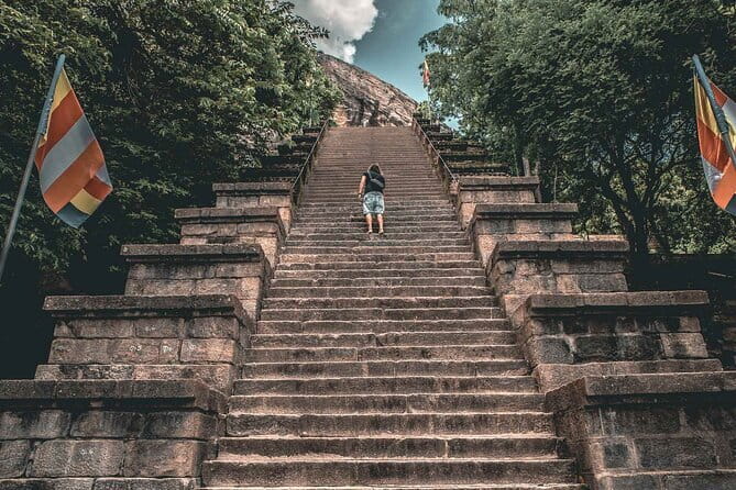 Colombo to Kandy Shuttle with Dambulla Sightseeing Tour - Who This Tour Suits Best (And Who Might Prefer Something Slower)