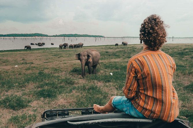 Colombo to Trincomalee Shuttle & Safari Drive - How this Colombo to Trincomalee day beats a plain transfer