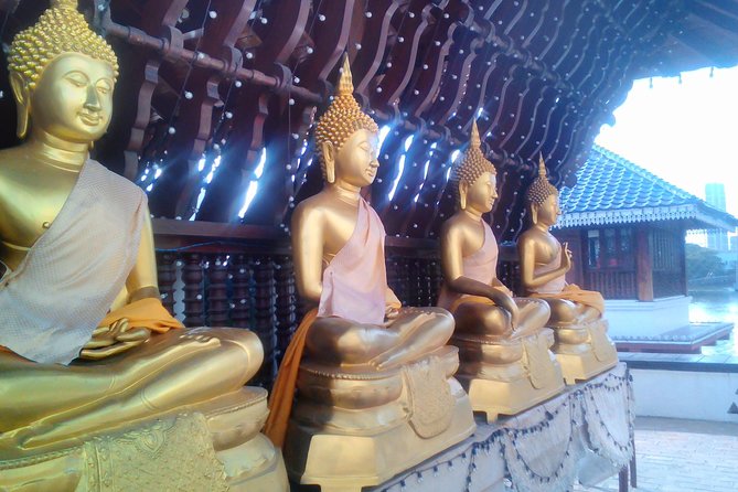 Colombo Walking Tour With Ayurvedic Learning - Ayurveda + Walking: Why This Tour Works So Well in Colombo