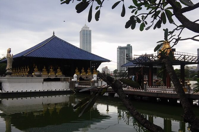 Colombo Walking Tour With Ayurvedic Learning - Getting Started at the Port of Colombo (and Why the Meeting Point Matters)