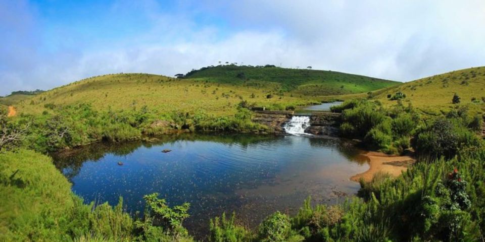 Comprehensive Excursion: Horton Plains and Pedro Tea Factory - Price and value: what you’re really paying for