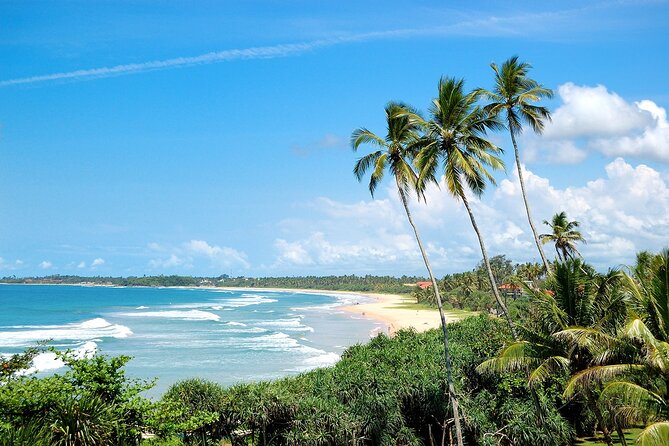 Customized 11-Day Flexible Sri Lanka Tour with Private Car - Negombo fish market mornings and the Dutch Canal