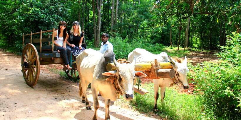 Dambulla: Cave Temple and Village All-Inclusive Tour - Sacred-Space Basics: How to Dress and Move Comfortably