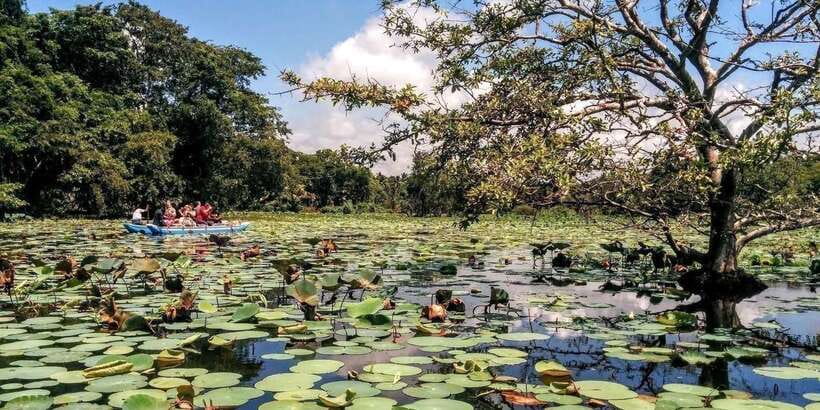 Dambulla: Caves Temple & Traditional Village Tour with Lunch - Dambulla Cave Temple: the big reason to choose this tour
