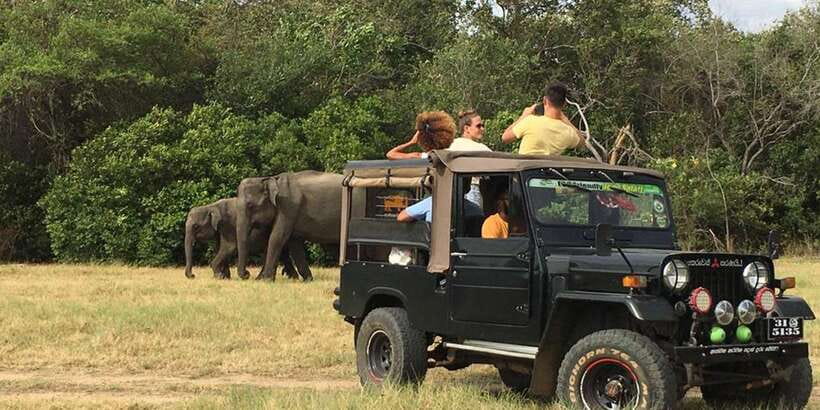 Dambulla/Sigiriya: Polonnaruwa & Minneriya Park Jeep Safari - Price and value: $88 and the hidden add-ons