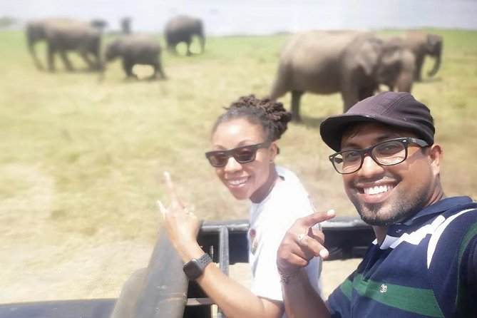 Day Tour from kandy to Sigiriya, Dambulla & National Park safari. - Food and quick stops: where the day adds local flavor
