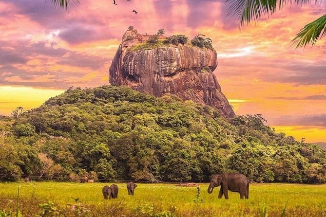 Day Tour Kandy to Sigiriya with Dambulla Cave Temple Excursion - Stop 2: Ranweli Spice Garden (1 Hour, Free Entrance, High Reward)
