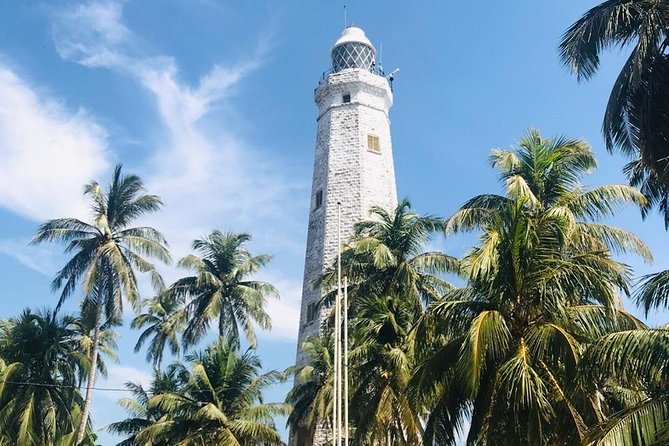 Day tour of Galle - Madu River mangrove cruise: wildlife time, not just scenery