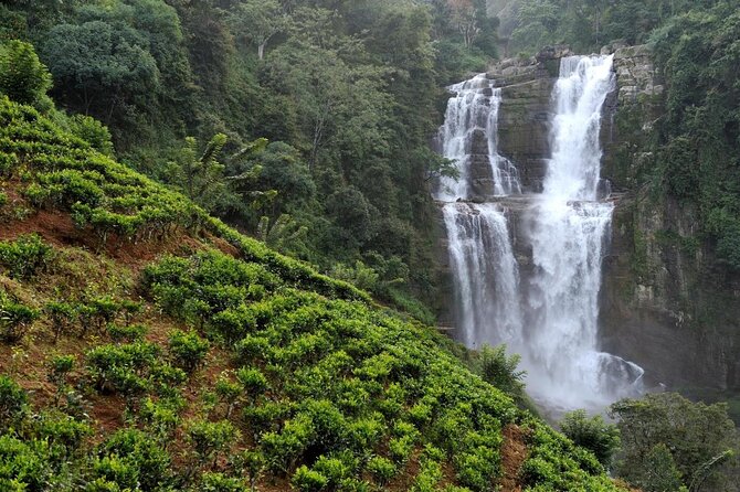 Day Tour of Nuwara Eliya - Key highlights worth your attention