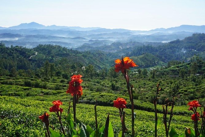 Day Tour of Nuwara Eliya - Nuwara Eliya town stop: old Post Office area and Gregory Lake
