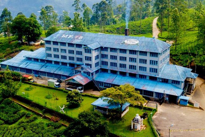 Day Tour of Nuwara Eliya - Price and value: what $45 covers (and what to plan for)