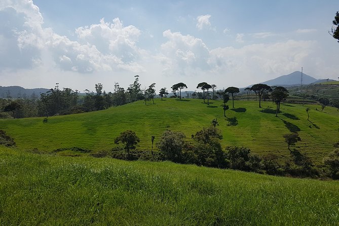 Day Tour of Nuwara Eliya - Should you book the Kandy day tour to Nuwara Eliya?