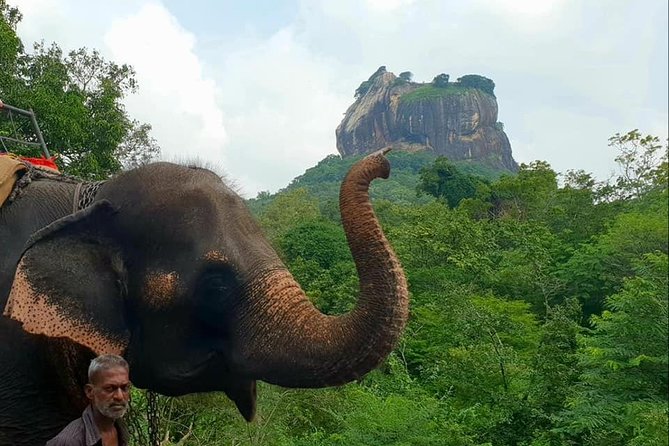 Day Tour of Sigiriya - Price and value: what $148.67 covers, and what doesn’t