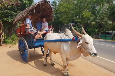 Day Tour of Sigiriya - Dambulla Cave Temples on the way: a must-stop, early in the day