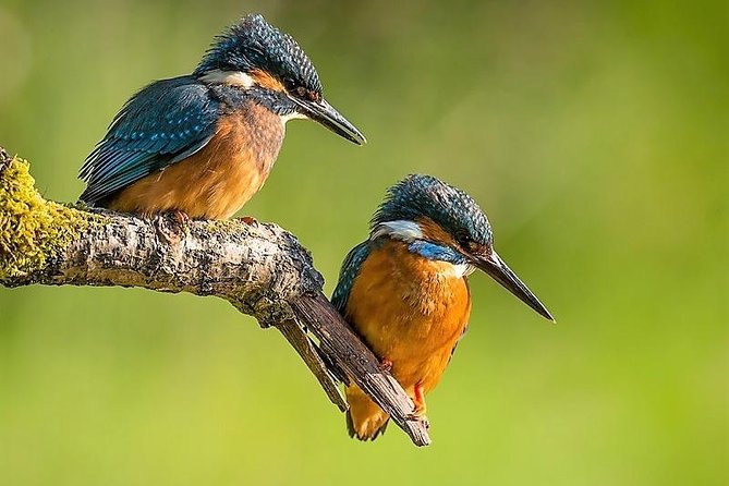 Day Tour to Anawilundawa Wetland Sanctuary - Key Highlights I’d Plan Around
