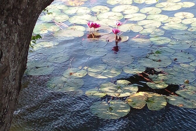 Day Tour to Anawilundawa Wetland Sanctuary - The Main Stop: Anawilundawa Wetland Sanctuary (5 Hours of Focus)