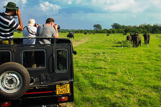 Day tour to Minneriya National Park,Sigiriya & Dambulla from Kandy - Pickup, Timing, and the Real-World Pace in a 12-Hour Loop