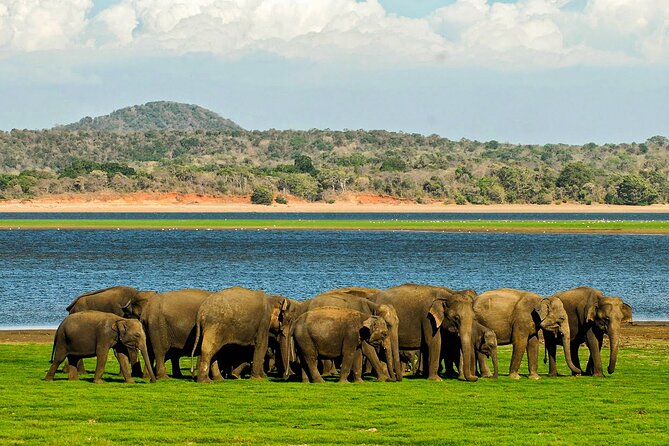 Day tour to Minneriya National Park,Sigiriya & Dambulla from Kandy - Sigiriya Rock Climb: The World-Class View Comes After a Steady Walk