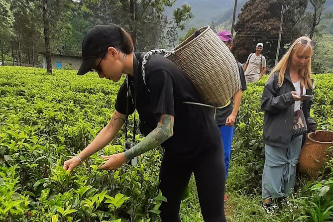 Day tour to Nuwareeliya (Little England) from Kandy - Gregory Lake: a calm tea-hill break with a small entrance fee