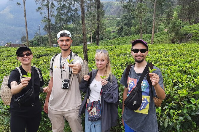 Day tour to Nuwareeliya (Little England) from Kandy - Price and value: what $30 per person gets you