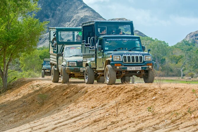 Day Tour to Wilpattu National Park from Colombo - Key Things That Make This Wilpattu Day Trip Work