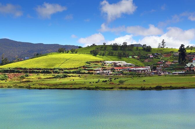 Day Trip to Nuwara eliya from Kandy - Key highlights