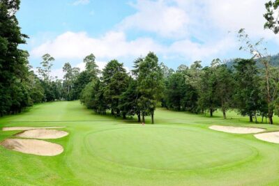 Day Trip to Nuwara eliya from Kandy - Price and what to budget for real value