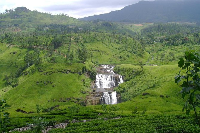 Day Trip to Nuwara Eliya with Kingfisher Tours - Private Pickup and Transport: No Rental Car, Less Hassle