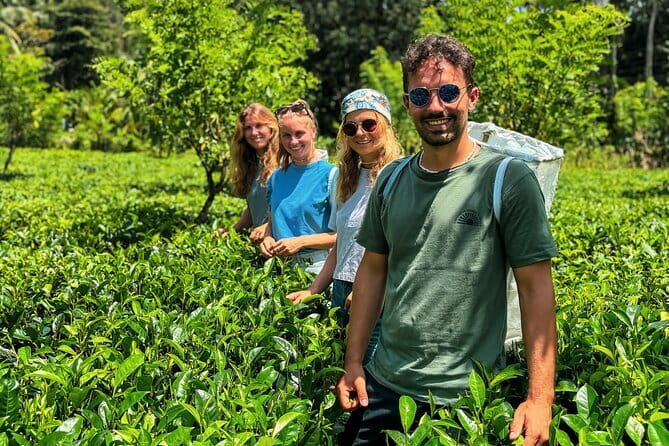 Dediyagala Village Tour(from Galle, Mirissa, Ahangama, Matara) - Getting to Dediyagala: south-coast pickup, small-group feel