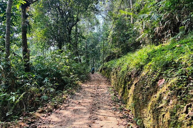 Dediyagala Village Tour(from Galle, Mirissa, Ahangama, Matara) - Starting in the village: tea or king coconut and an easy rhythm