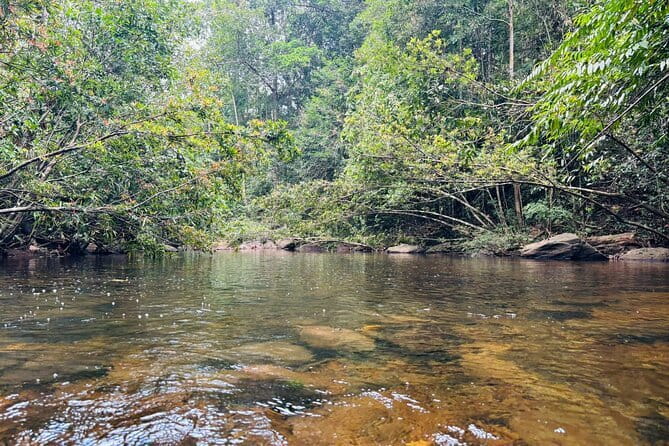 Dediyagala Village Tour(from Galle, Mirissa, Ahangama, Matara) - Entering the forest reserve: trekking time and what to watch for