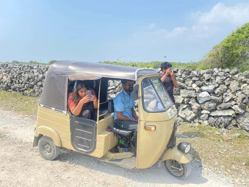 Delft and Nainativu Island Tour with Local Guide ( Jaffna ) - Wild horses on Delft: what to watch for (and how to be respectful)