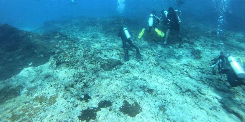 Discover Scuba Diving : Hikkaduwa : Scuba Diving - Key Highlights You’ll Feel Right Away