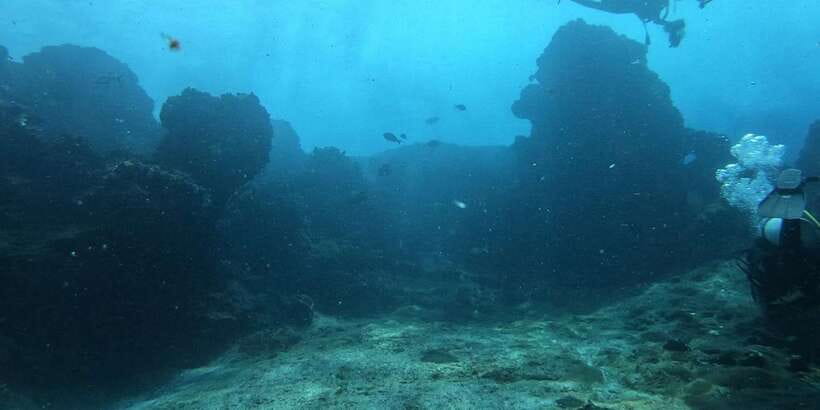 Discover Scuba Diving : Hikkaduwa : Scuba Diving - Equipment Included: What You Wear, What to Check, What to Expect