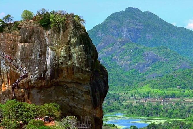Discover Sigiriya Dambulla and Minneriya Park in Day Tour - Minneriya National Park safari: elephants, monkeys, and birds