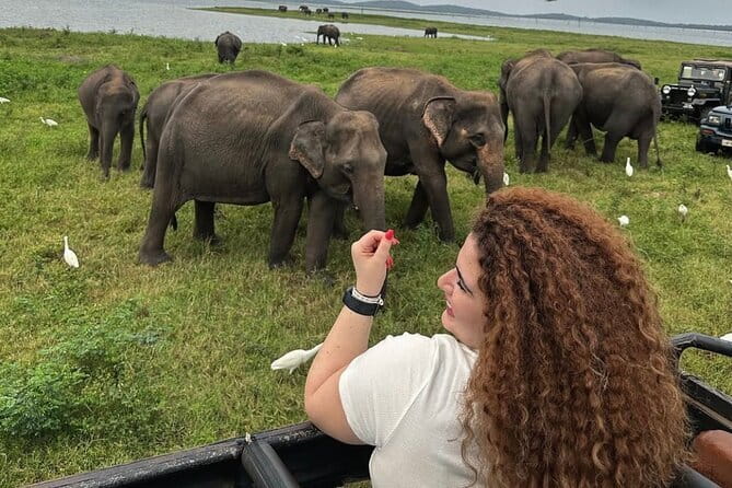 Discover Sigiriya Dambulla and Minneriya Park in Day Tour - Ranweli Spice Garden: Ayurvedic plants, plus a coconut drink moment