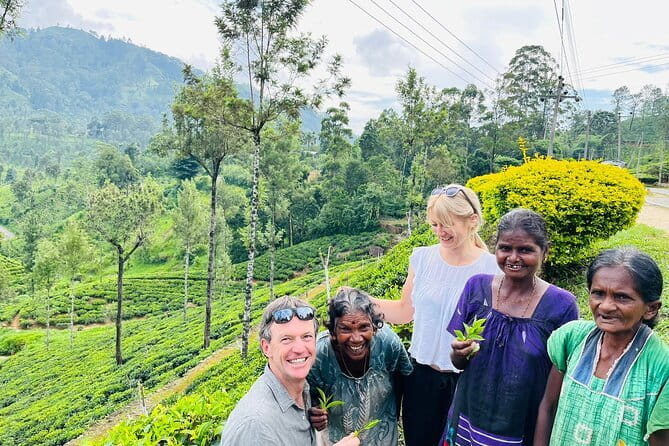 Discover Sri Lanka with Tailored Tours for Timeless Memories - How this Sri Lanka route actually feels: hills, beach, and the classics