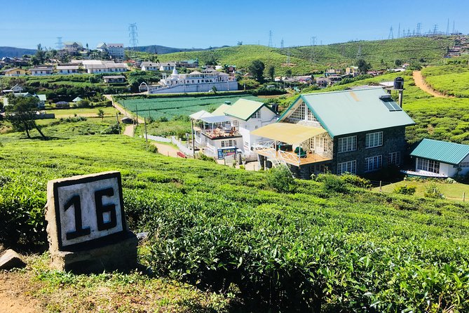 Discover Sri Lankan Beauty - 12 Days - Nuwara Eliya tea country: factories, misty hills, and a slower kind of sightseeing