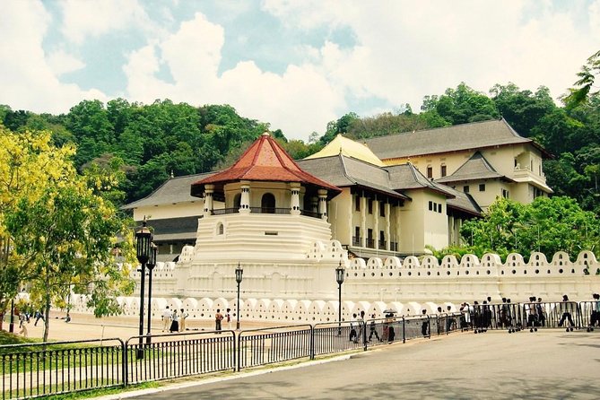 Discover Sri Lankan Beauty - 12 Days - Kandy: Temple of the Tooth, spice garden learning, and a cultural show