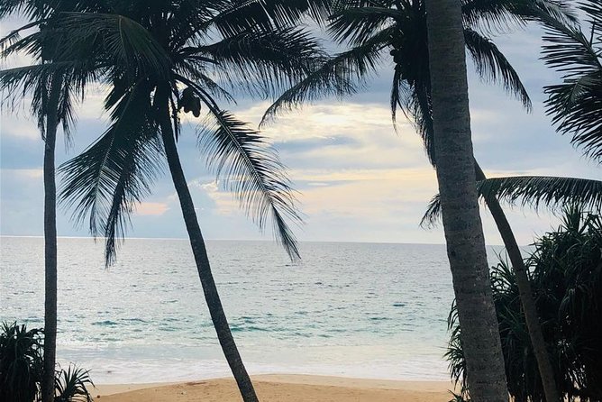 Driver In Srilanka. - Your Flexible Itinerary: A Day You Can Shape